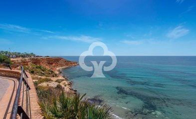 Obra nueva - Ático -
Torrevieja - torrevieja