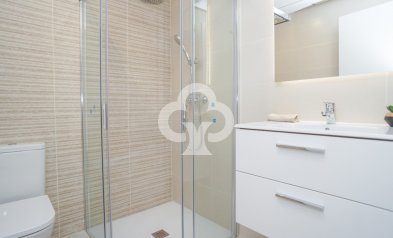 Obra nueva - Ático -
Torrevieja - torrevieja