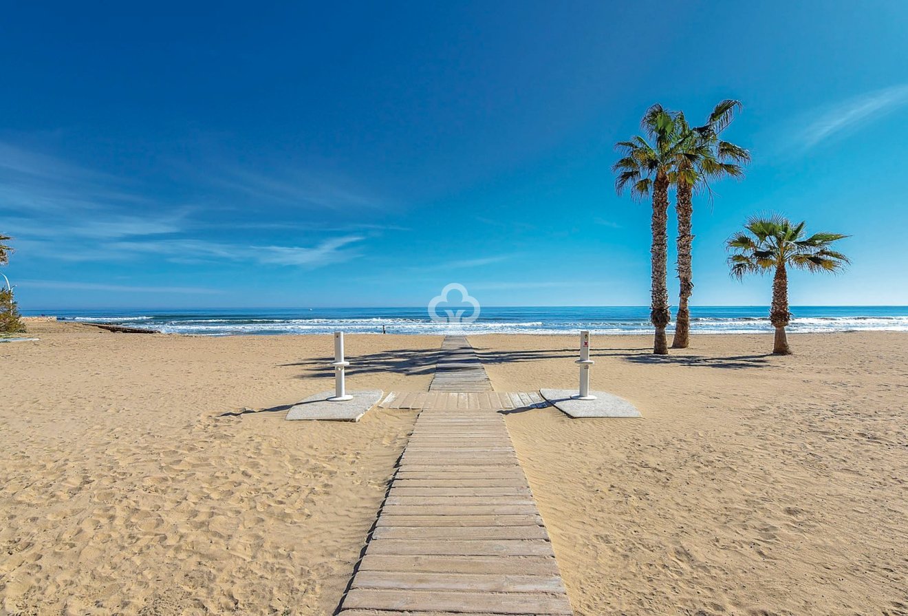 New Build - Penthouse -
Torrevieja - torrevieja