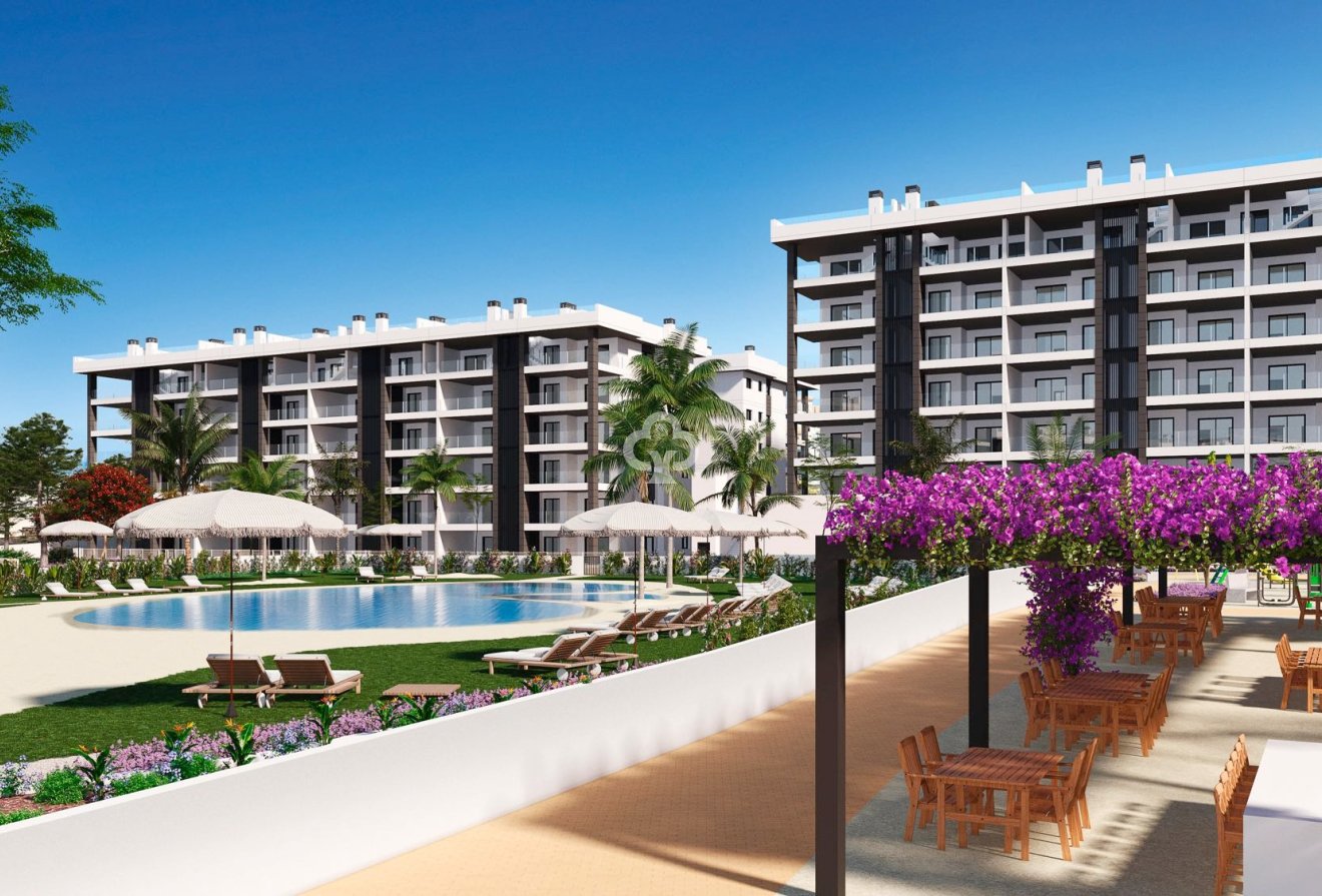 New Build - Penthouse -
Torrevieja - torrevieja