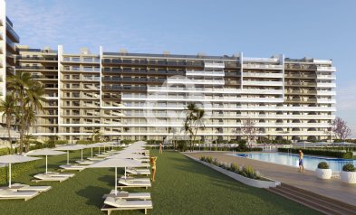 Neue Gebäude - Bajos -
Torrevieja - 03189