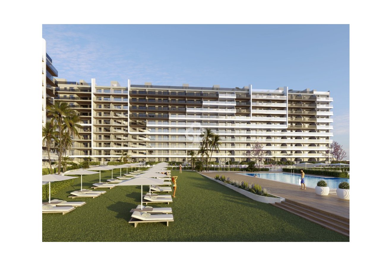 Neue Gebäude - Bajos -
Torrevieja - 03189