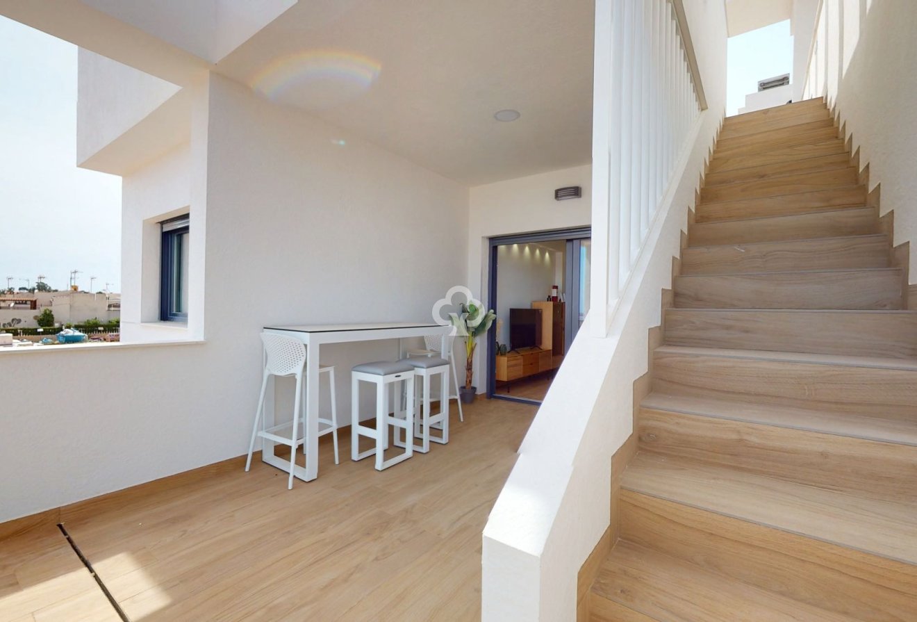 Uudiskohde - Bungalow -
Torrevieja - 03186, Avenida Denia s/n