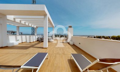 Uudiskohde - Bungalow -
Torrevieja - 03186, Avenida Denia s/n