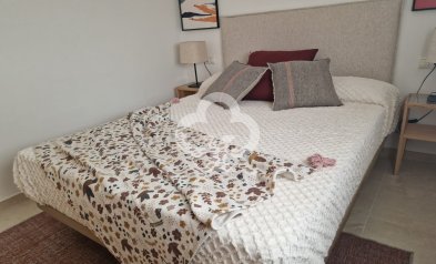 Uudiskohde - Apartamentos -
Avileses - 30140