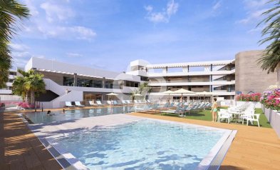 Uudiskohde - Villas -
Torrevieja - Calle Jose Carreras, 3