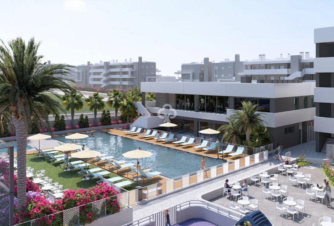 Uudiskohde - Villas -
Torrevieja - Calle Jose Carreras, 3