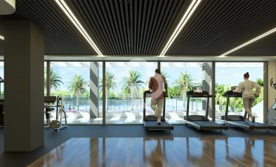 Uudiskohde - Áticos -
Torrevieja - Calle Jose Carreras, 3