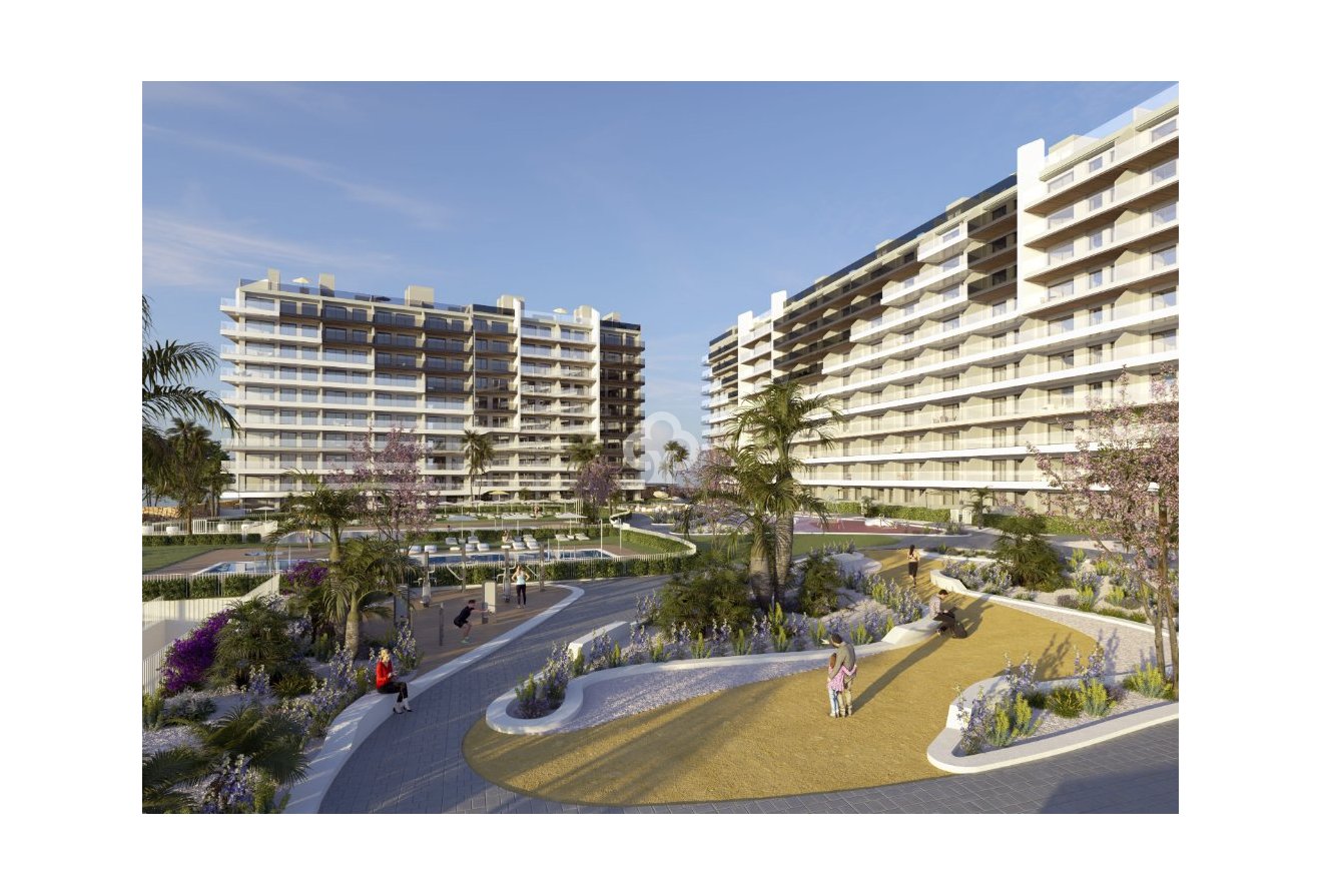 Obra nueva - Apartamentos -
Torrevieja - 03189