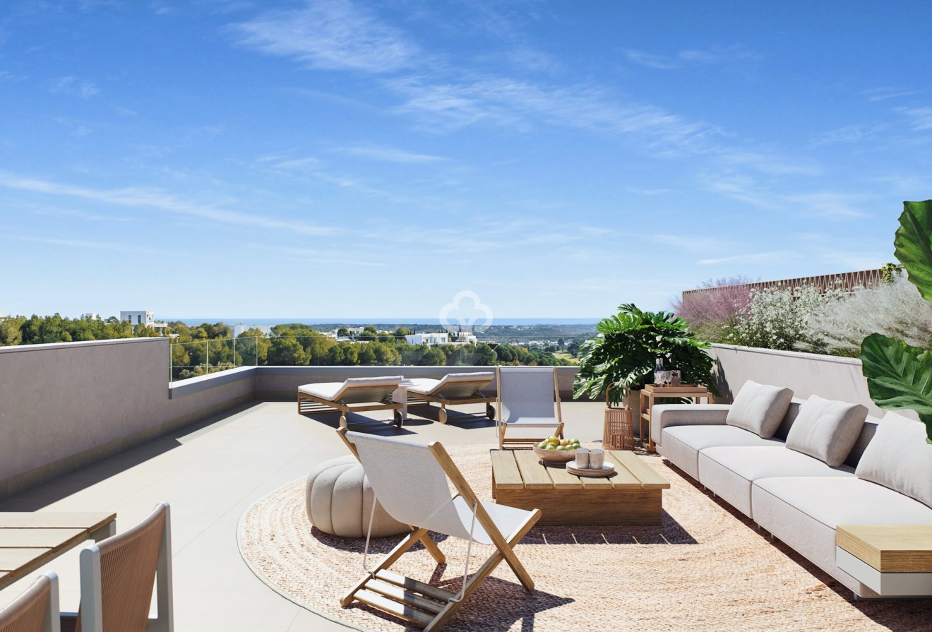 Obra nueva - Áticos -
Orihuela