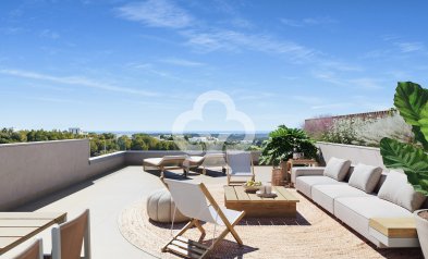 Obra nueva - Áticos -
Orihuela