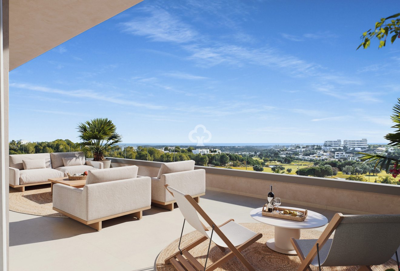 Obra nueva - Áticos -
Orihuela