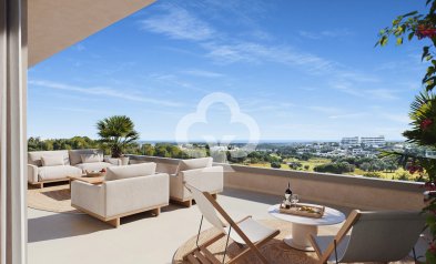 Obra nueva - Áticos -
Orihuela