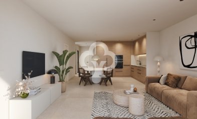 Obra nueva - Áticos -
Orihuela