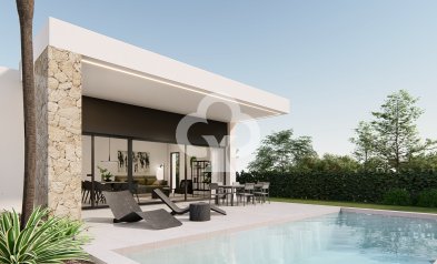 Obra nueva - Villas -
Molina de Segura - 30509