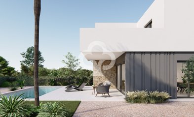 Obra nueva - Villas -
Molina de Segura - 30509