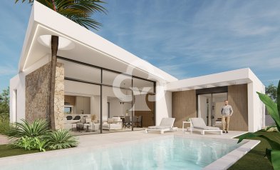 Obra nueva - Villas -
Molina de Segura - 30509