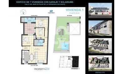 New Build - Bajos -
Pilar de la Horadada