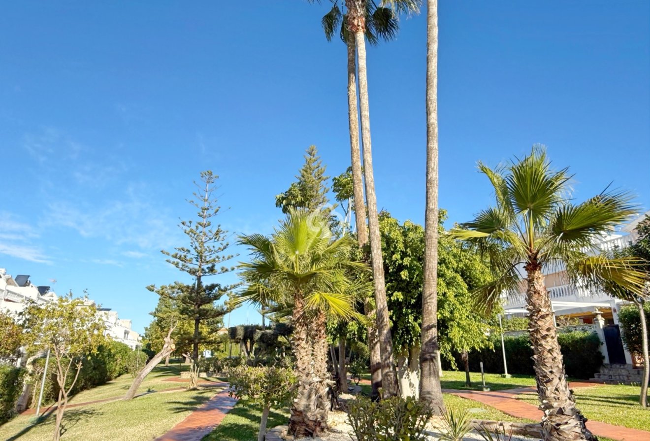 Reventa - Chalet -
Guardamar del Segura - Urbanizaciones