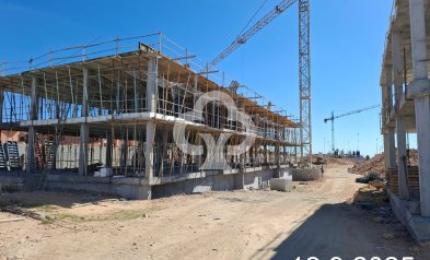 New Build - Bungalow -
Torrevieja - Nueva Torrevieja - Aguas Nuevas