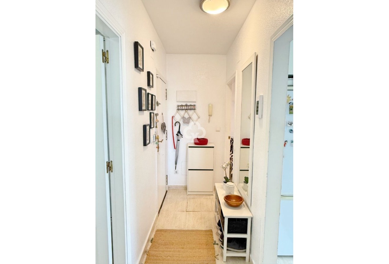 Jälleenmyynti - Kattohuoneisto -
Torrevieja - Playa de los Locos