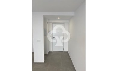 Jälleenmyynti - Kattohuoneisto -
Torrevieja - 03182, Calle Gumersindo