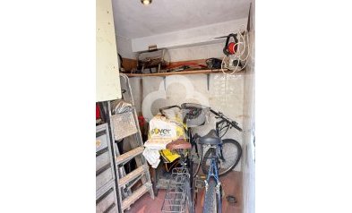 Resale - Detached villa -
Torrevieja - 03184