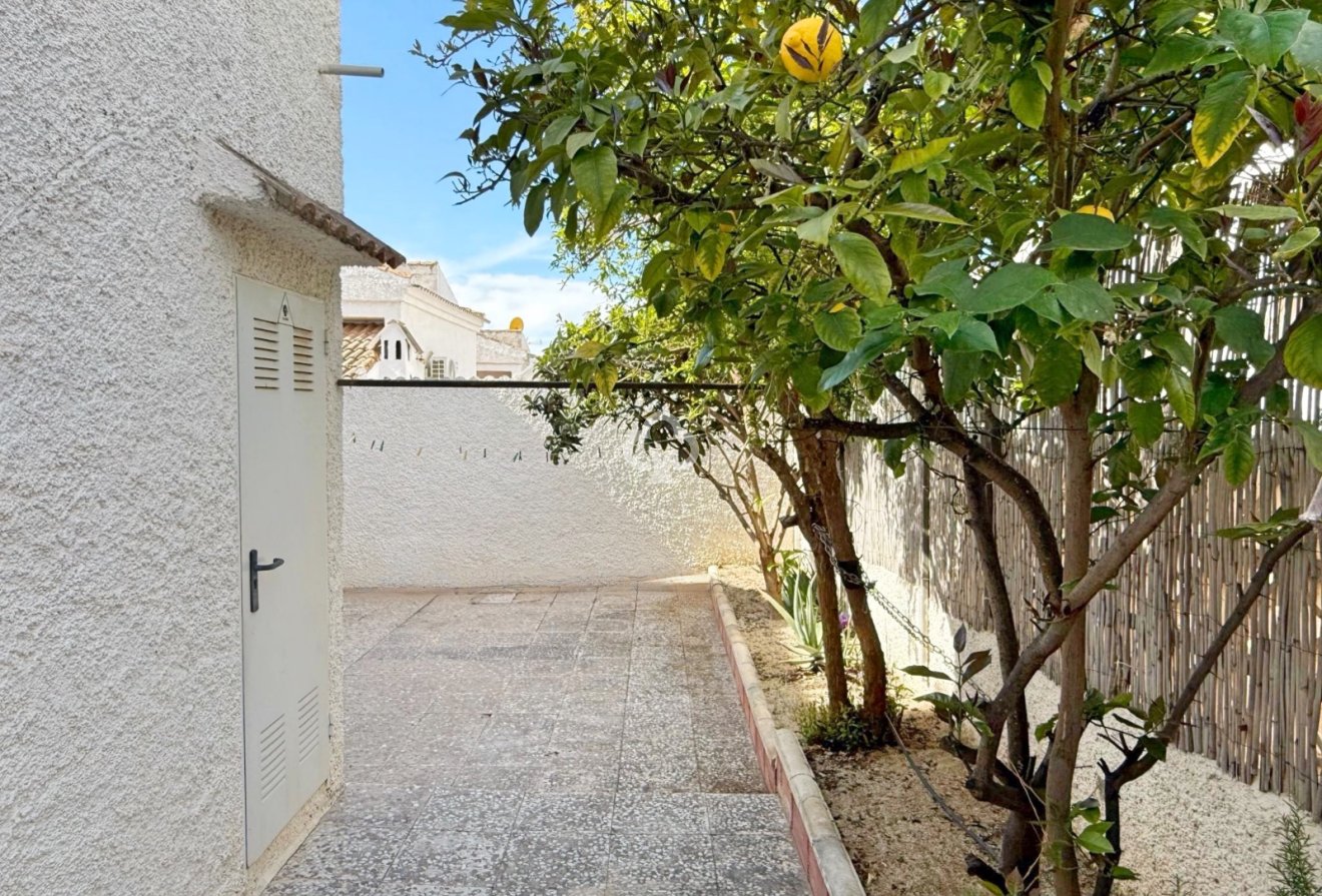 Resale - Detached villa -
Torrevieja - 03184