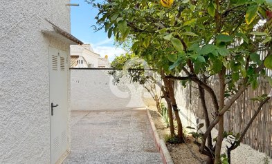 Resale - Detached villa -
Torrevieja - 03184