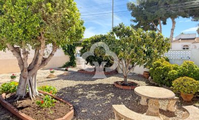 Resale - Detached villa -
Torrevieja - 03184