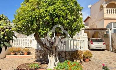 Resale - Detached villa -
Torrevieja - 03184