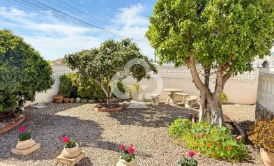 Resale - Detached villa -
Torrevieja - 03184