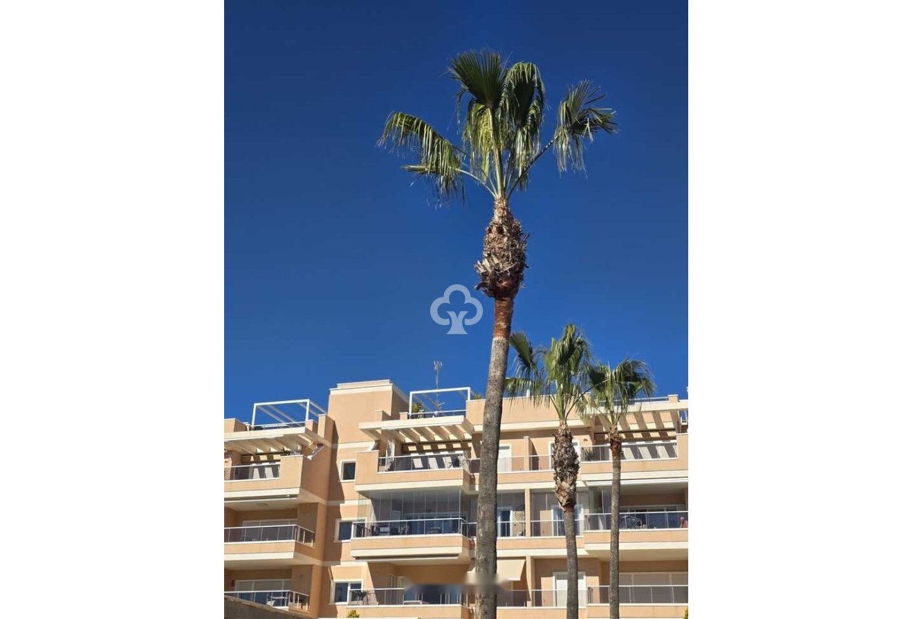 Jälleenmyynti - Asunto / huoneisto -
Orihuela Costa - Los Dolses
