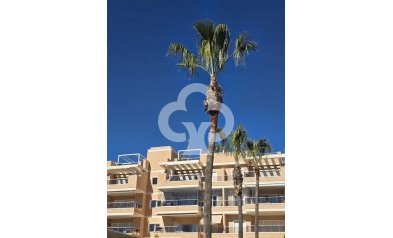 Jälleenmyynti - Asunto / huoneisto -
Orihuela Costa - Los Dolses
