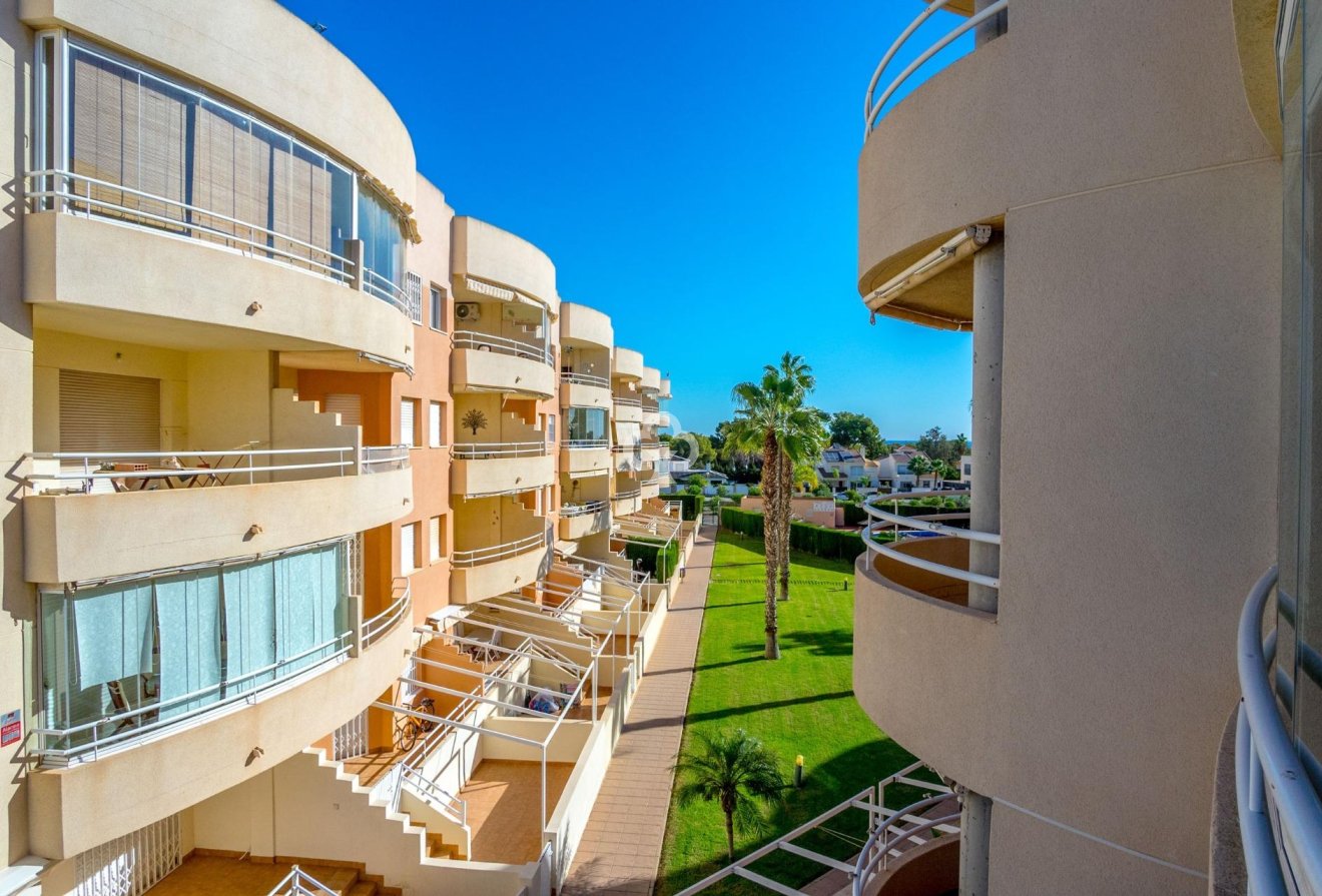 Resale - Apartment -
Dehesa de campoamor - Campoamor