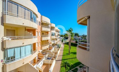 Resale - Apartment -
Dehesa de campoamor - Campoamor