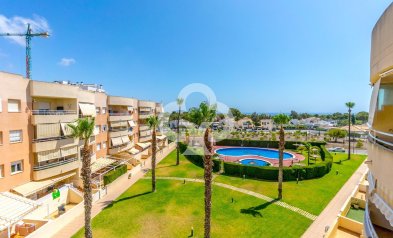 Resale - Apartment -
Dehesa de campoamor - Campoamor