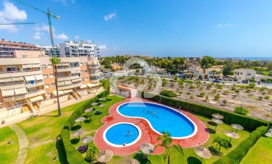 Resale - Apartment -
Dehesa de campoamor - Campoamor