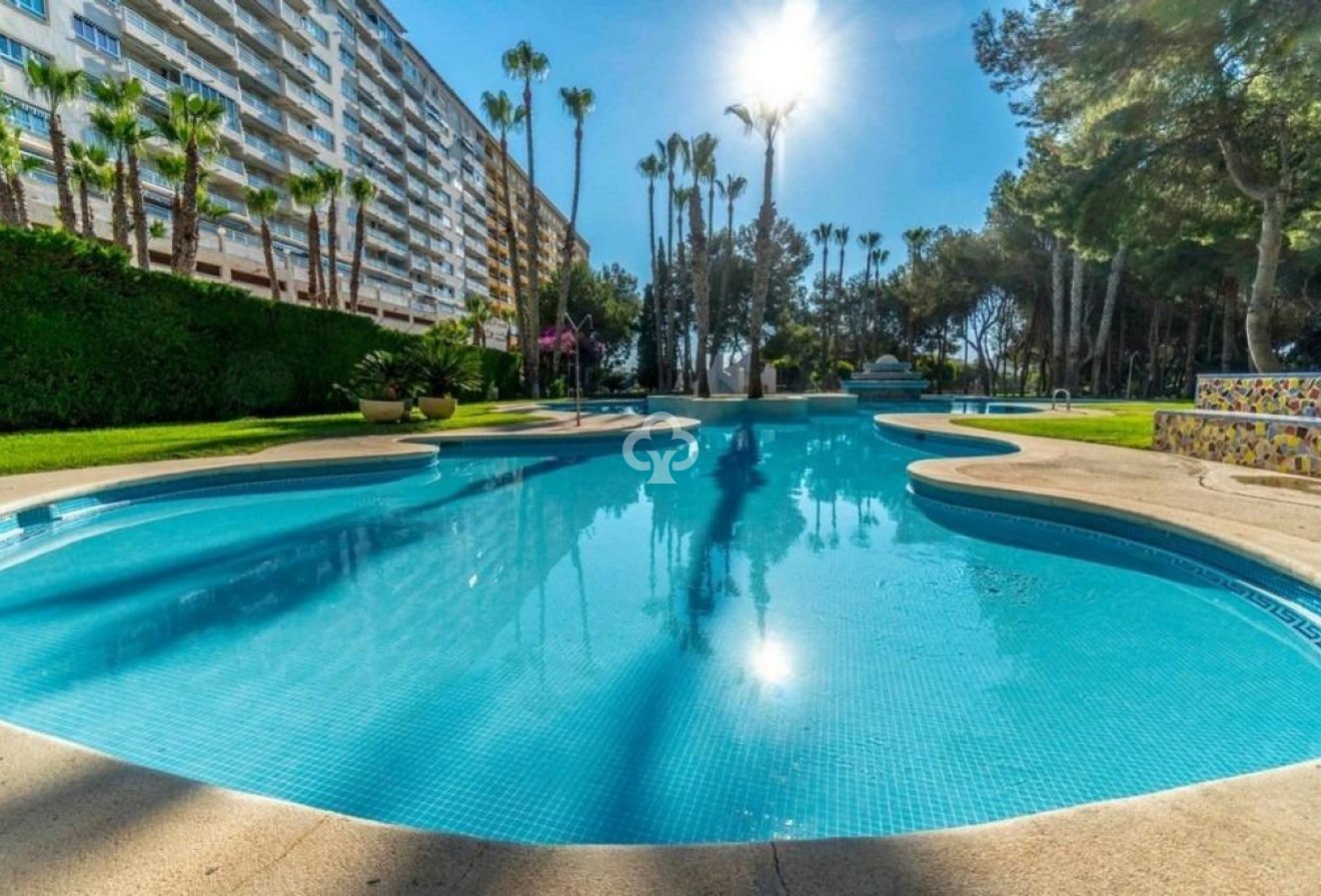 Resale - Apartment -
Dehesa de campoamor - Altos de campoamor