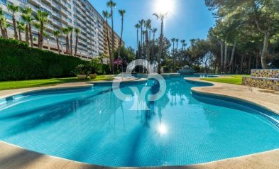 Resale - Apartment -
Dehesa de campoamor - Altos de campoamor