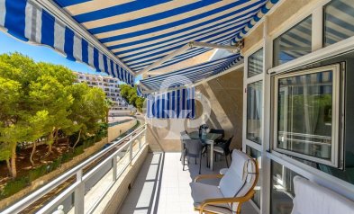 Resale - Apartment -
Dehesa de campoamor - Altos de campoamor