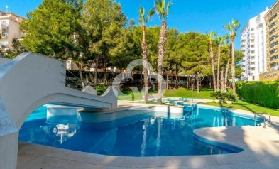 Resale - Apartment -
Dehesa de campoamor - Altos de campoamor