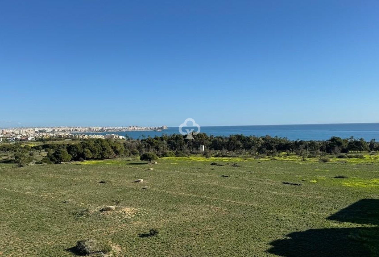 Resale - Apartment -
Torrevieja - Punta Prima