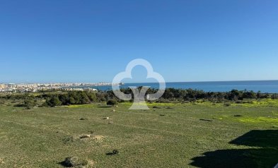 Resale - Apartment -
Torrevieja - Punta Prima