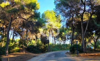 Resale - Villa -
Dehesa de campoamor - Campoamor