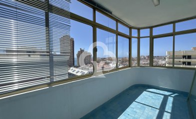 Jälleenmyynti - Piso -
Fuengirola - Puerto Deportivo