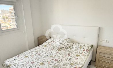 Jälleenmyynti - Huoneisto -
Torrevieja - Nueva Torrevieja - Aguas Nuevas