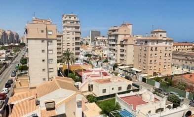 Jälleenmyynti - Huoneisto -
Torrevieja - Nueva Torrevieja - Aguas Nuevas