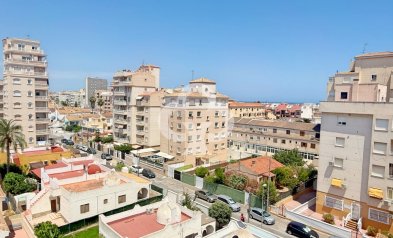 Jälleenmyynti - Huoneisto -
Torrevieja - Nueva Torrevieja - Aguas Nuevas