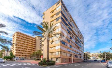 Jälleenmyynti - Apartment -
Torrevieja - Cabo cervera